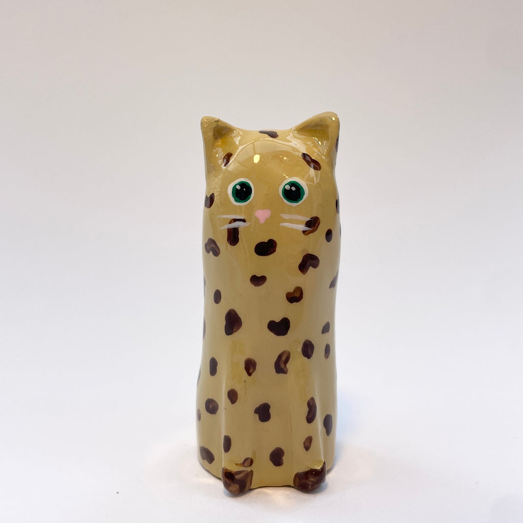 Poppy Bean
